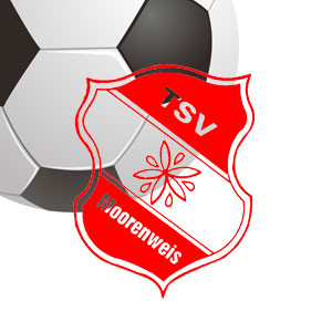 Abteilung Fussball